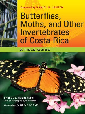 cover image of Butterflies, Moths, and Other Invertebrates of Costa Rica: a Field Guide